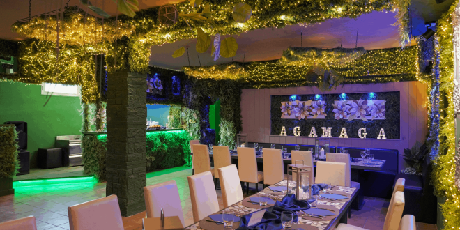Sala del locale Agamaga Eventi con tavoli apparecchiati, decorazioni di luci calde su vegetazione e illuminazione colorata verde e blu