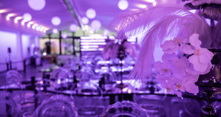Sala banchetti locale Spazio Viola Eventi allestita con illuminazione viola, piume di struzzo bianche e orchidee come centrotavola eleganti