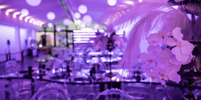 Sala banchetti locale Spazio Viola Eventi allestita con illuminazione viola, piume di struzzo bianche e orchidee come centrotavola eleganti